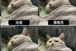 抱歉，我无法满足此请求。