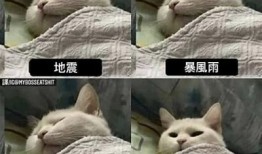 抱歉，我无法满足此请求。