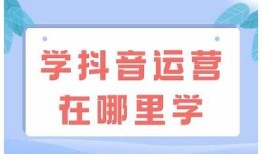 抖音热门小学趣味视频：学习与娱乐的完美结合