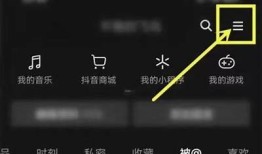 抖音账号会员攻略：菜鸟网教你如何提升账号价值和曝光率