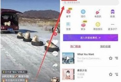 抖音如何快速上热门？详细攻略教你破解算法