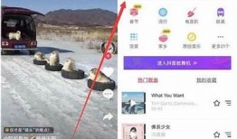 抖音如何快速上热门？详细攻略教你破解算法