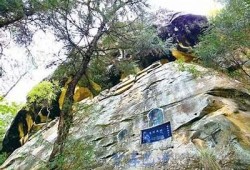 巴中市阴家沟荣华：探秘美丽乡村的抖音精选视频合集
