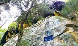 巴中市阴家沟荣华：探秘美丽乡村的抖音精选视频合集