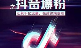 抖音1.99版全新功能解析与使用技巧，轻松玩转短视频平台！
