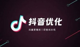 抖音v98版最新使用技巧与功能解析，玩转短视频新时代