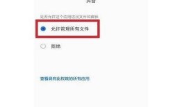 抖音为什么不能下载？解析其背后的根本原因与影响
