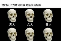 抖阴320：揭示新潮流与社交媒体走向的深度解析