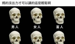 抖阴320：揭示新潮流与社交媒体走向的深度解析