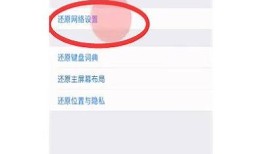iPad无法下载抖阴的解决方法与常见难题调查