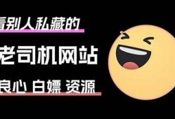 老司机分享：抖阴趣味视频推荐与使用技巧