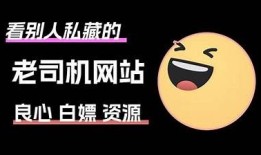 老司机必看！精彩福利视频导航推荐，满足你的观看欲望