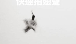 快猫记录：世界纪录下载GIF抖音，让你玩转无极限