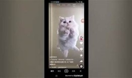 如何在手机上快速安装抖阴APP？详细步骤分享