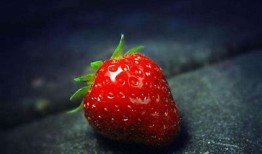 抖阴优化版草莓：提升甜度与口感的种植技巧揭秘
