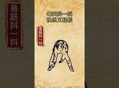 抖阴嗨掉不开心：如何在短视频中找到快乐和放松