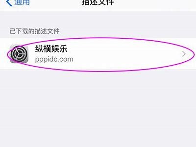 如何在iOS设备上成功安装5dyme抖阴使用的方法