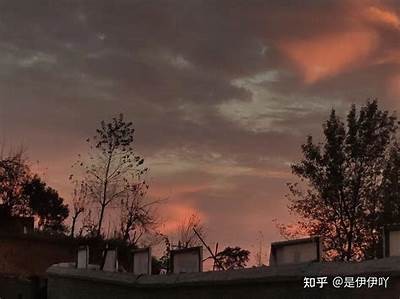冬季阴霾天气让人心情低落？抖音短视频带你寻找快乐秘诀