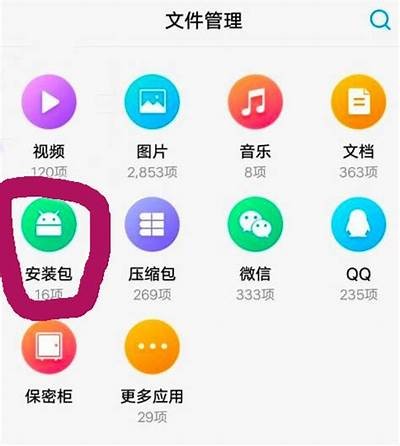 抖音若安装：详细步骤与注意事项分享，轻松上手！