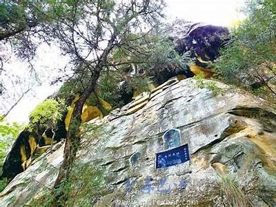 巴中市阴家沟荣华：探秘美丽乡村的抖音精选视频合集