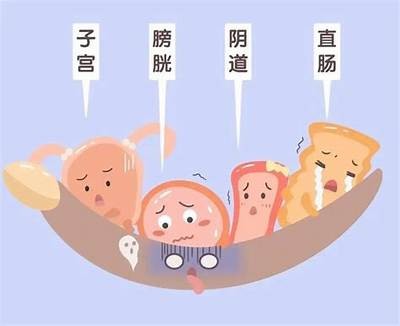深入剖析抖阴：功能、特点及使用技巧彻底解读