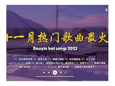 抖音热潮：不可错过的时尚露胸搭配技巧与穿搭建议