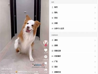 2023最新抖阴破解版下载，轻松获取蓝奏云资源