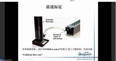探索qtt833抖阴：功能特点及使用指南