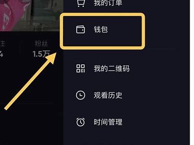 iOS抖阴刷币攻略：轻松获取更多币种的方法与技巧