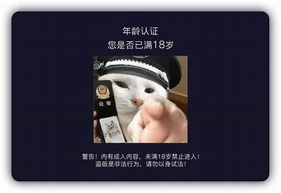 阴抖TV：揭秘网络热门骚视频背后的故事与真相