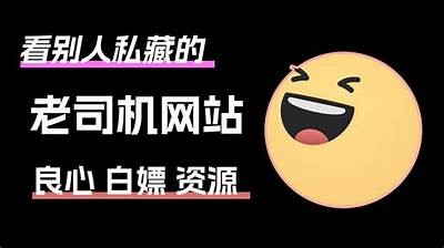 老司机必看！精彩福利视频导航推荐，满足你的观看欲望