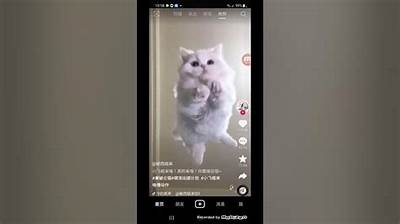 如何在手机上快速安装抖阴APP？详细步骤分享