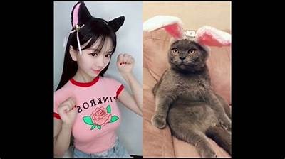 小花猫的抖阴瞬间：萌宠搞笑视频合集