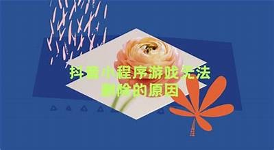 抖阴运用无法初始化应对方式及常见困难解析