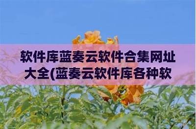 蓝奏云抖阴APP 11月最新版下载，最新功能和使用技巧分享
