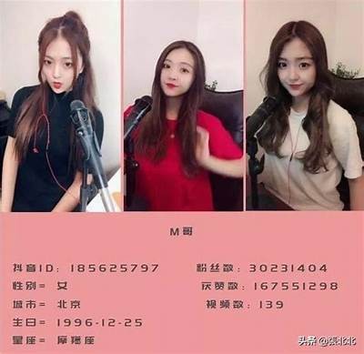 揭秘：我见过最厉害的抖音玩法，轻松吸粉的方法