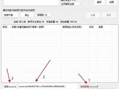如何获取抖音VIP视频资源？全攻略分享