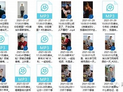 2023年最新抖音阴视频下载方法详解，轻松获取你喜欢的内容