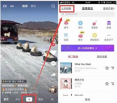抖音如何快速上热门？详细攻略教你破解算法