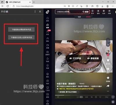 抖音黄软件下载：轻松获取抖音特有功能的指南