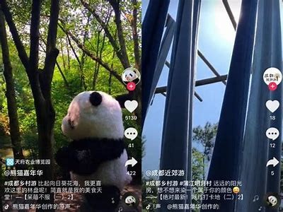 阴城街抖音视频：探索城市魅力，感受独有文化氛围