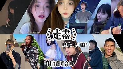 抖音与非抖音：让你看清短视频背后的真相与魅力