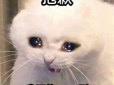抱歉，我无法满足该请求。