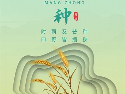 抖阴CG科技：探索未来数字创意与人工智能的完美结合