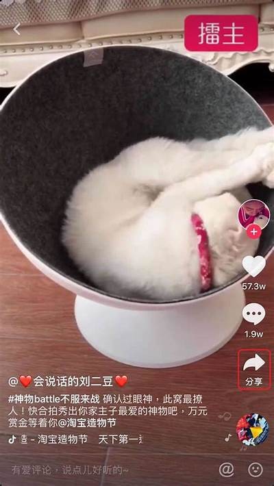 全新抖音台湾破解版iOS下载，畅享无限精彩内容