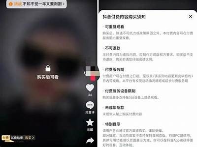抖阴平台：用户需交纳押金的背景与注意事项解析