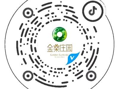 获取抖阴直播二维码方法分享，助你快速入门抖音直播