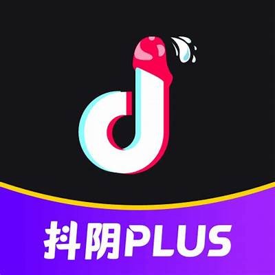 抖阴1.6破解教程：轻松获取高级功能的详细指南